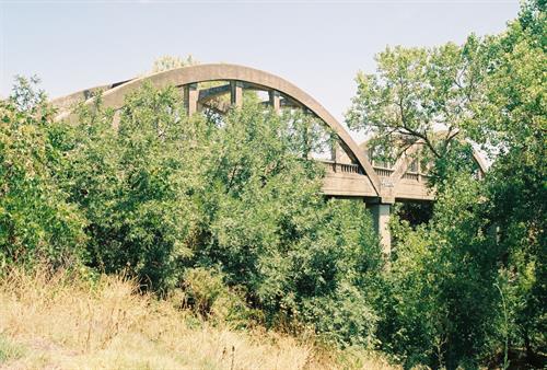 Stevenson Bridge with vegetation