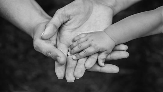 Parents holding child's hand