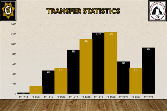 Transfer Statistics