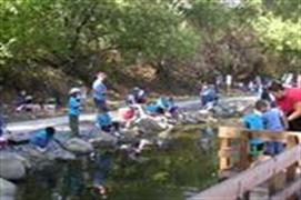 Lake Solano Children's Fishing Pond