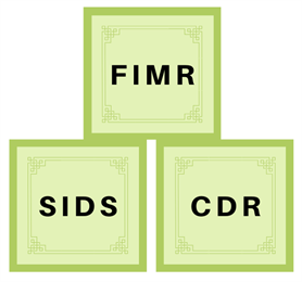 Three green blocks with text FIMR, SIDS, CDR (representing acronym of 3 existing fetal, infant, and child death review programs at Solano County MCAH Bureau