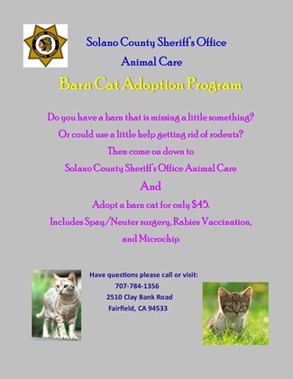 Click here to view the Animal Care Division Barn Cat Adoption Program Flyer